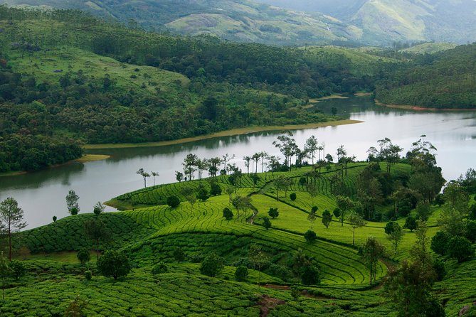 Kerala Wellness & Experiences FAM Trip Equips Travel Professionals to Confidently Sell Kerala